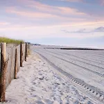 Beach Birdie