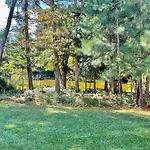 Chelmer Drive 19717
