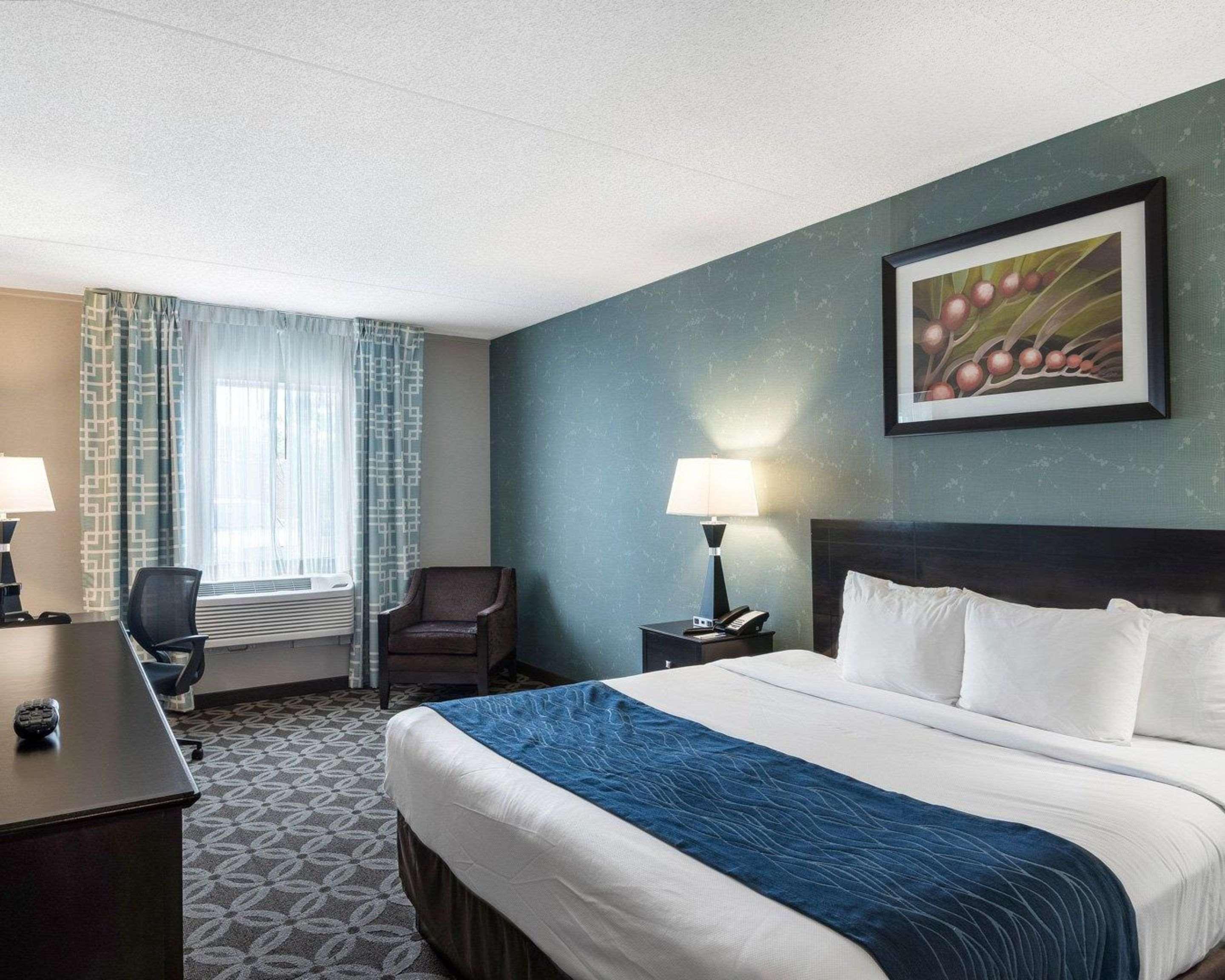 Comfort Rehoboth