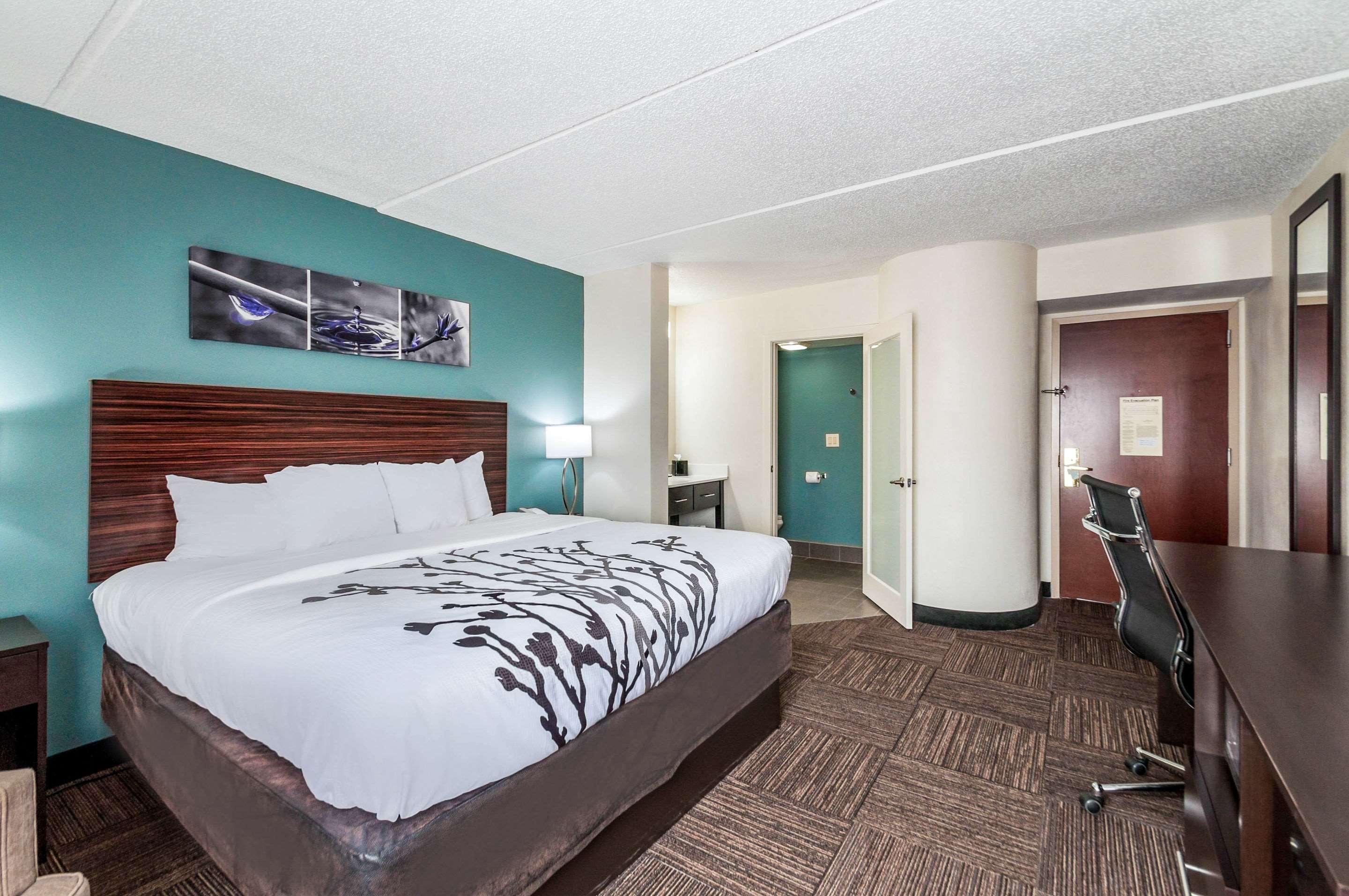 Sleep & Rehoboth