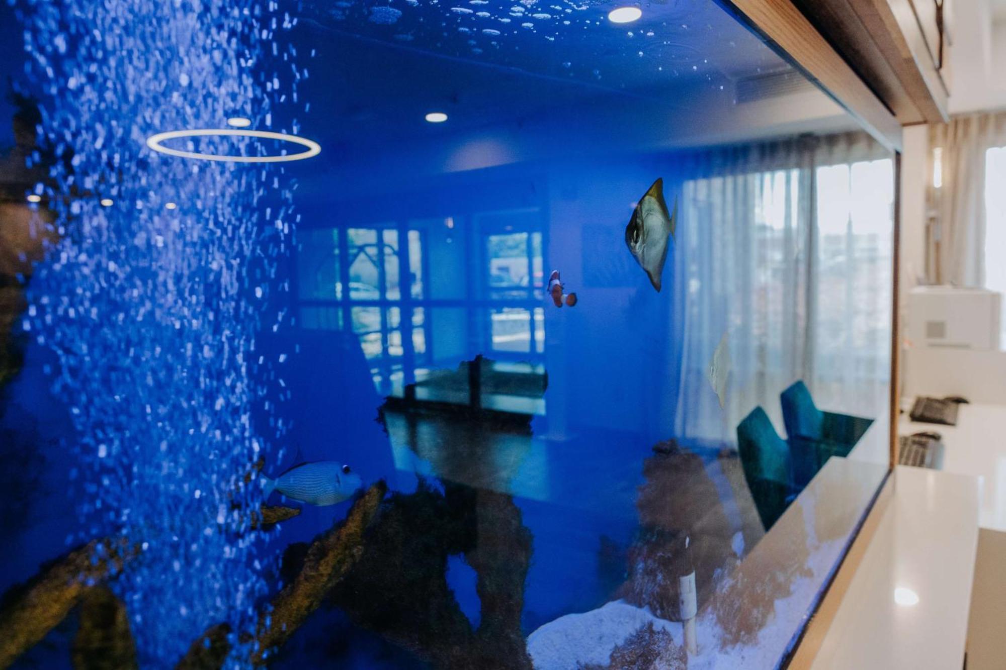 Hampton Rehoboth Hotel 3*