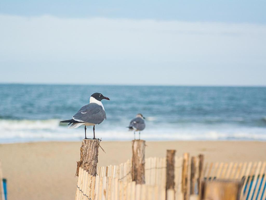 Holiday home Columbia Avenue 121 Rehoboth Beach