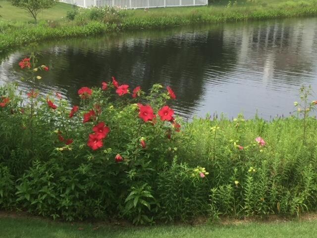Holiday home Oranmore Avenue 7 Rehoboth Beach