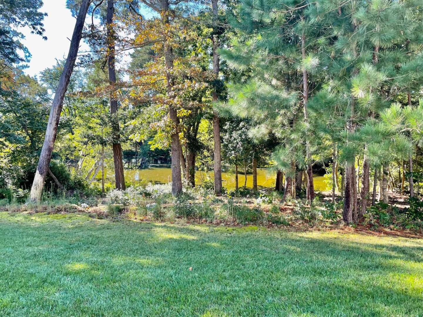 Chelmer Drive 19717 Holiday home *