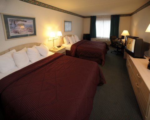 Comfort Rehoboth 3*