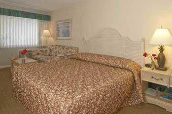 View Hotel 3*