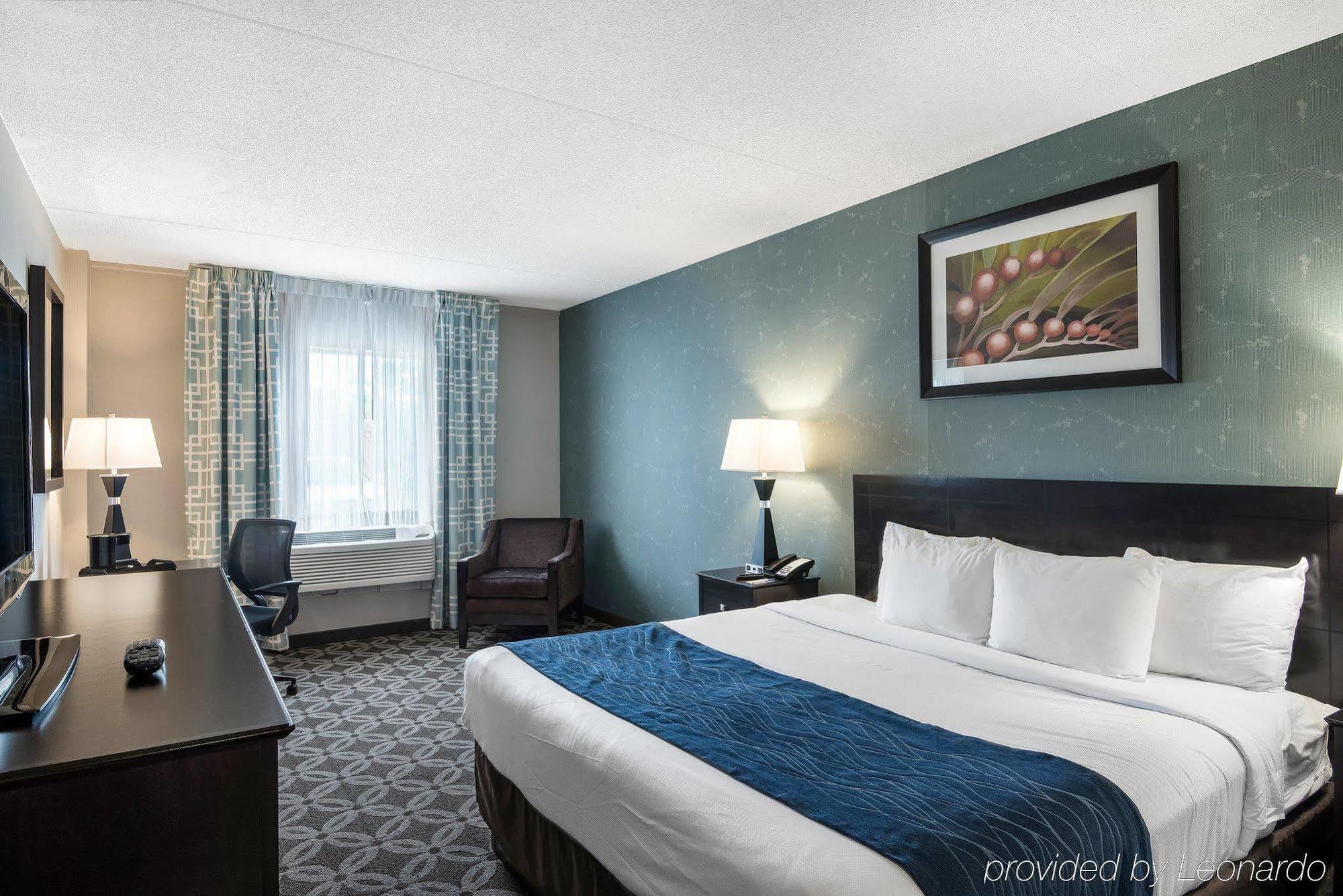 Comfort Rehoboth