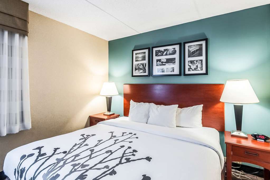 Sleep & Rehoboth