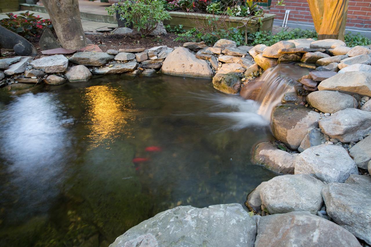 Inn The Bellmoor And Rehoboth Beach